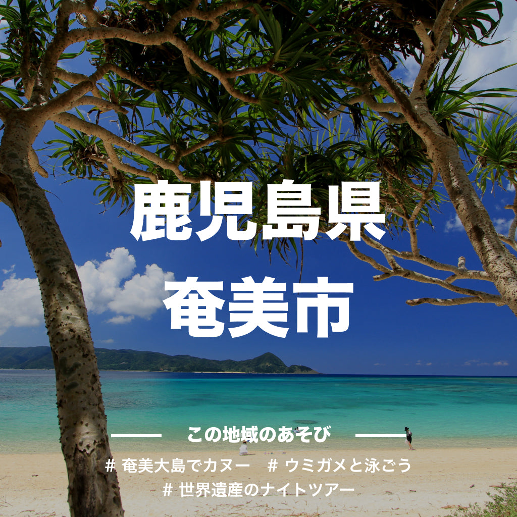 【鹿児島県奄美市】アソビュー!ふるさと納税クーポン