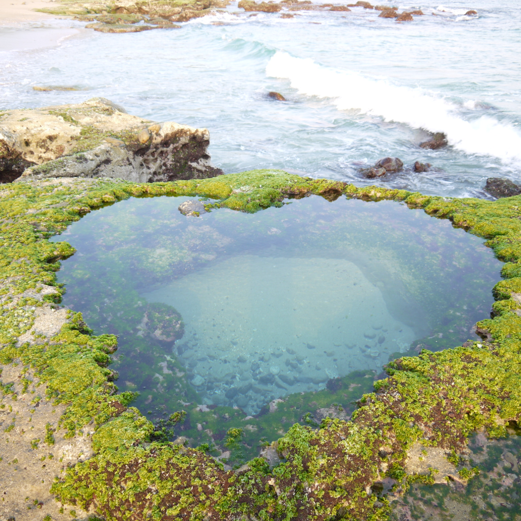 【鹿児島県龍郷町】アソビュー!ふるさと納税クーポン