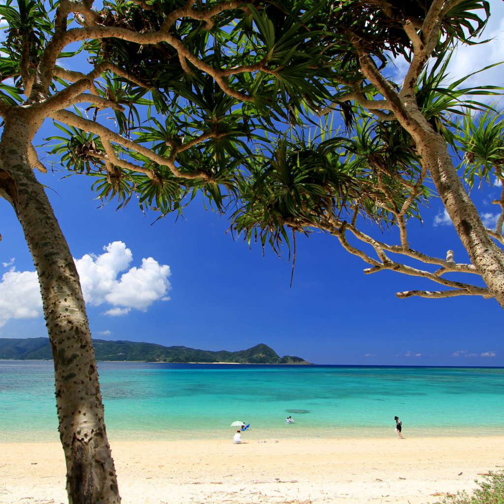 【鹿児島県奄美市】アソビュー!ふるさと納税クーポン