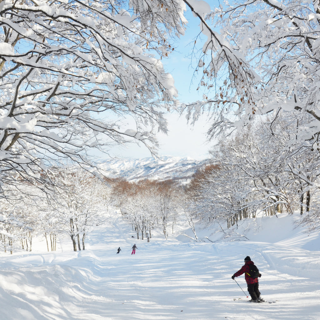 上越国際スキー場 2025-2026 リフト1日入場券+