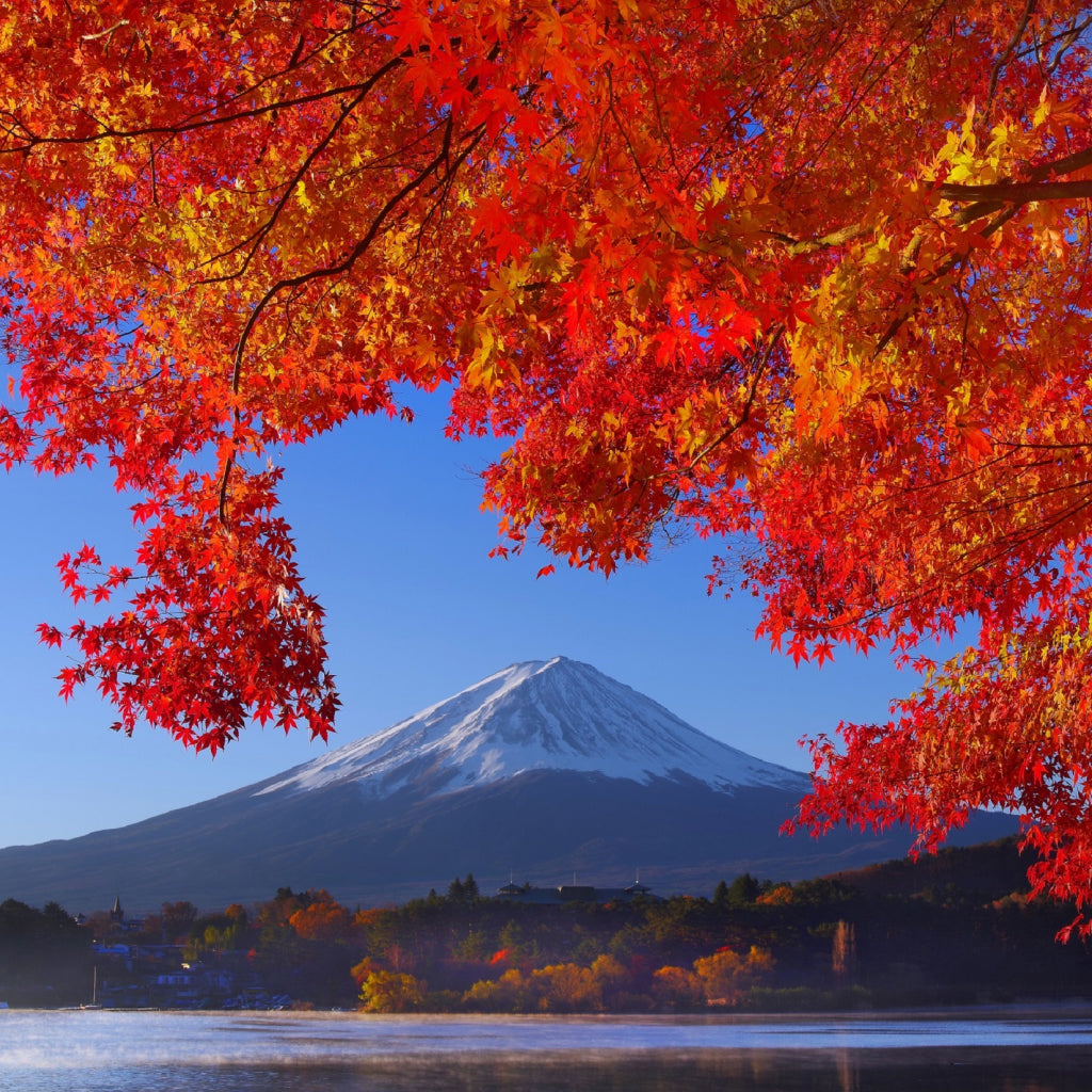 【山梨県富士河口湖町】アソビュー!ふるさと納税クーポン