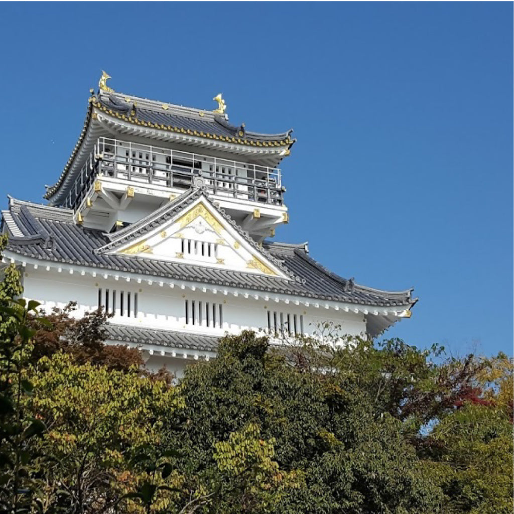 【岐阜県】アソビュー!ふるさと納税クーポン