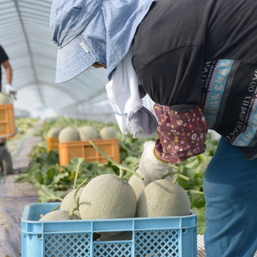 【北海道富良野市】アソビュー!ふるさと納税クーポン