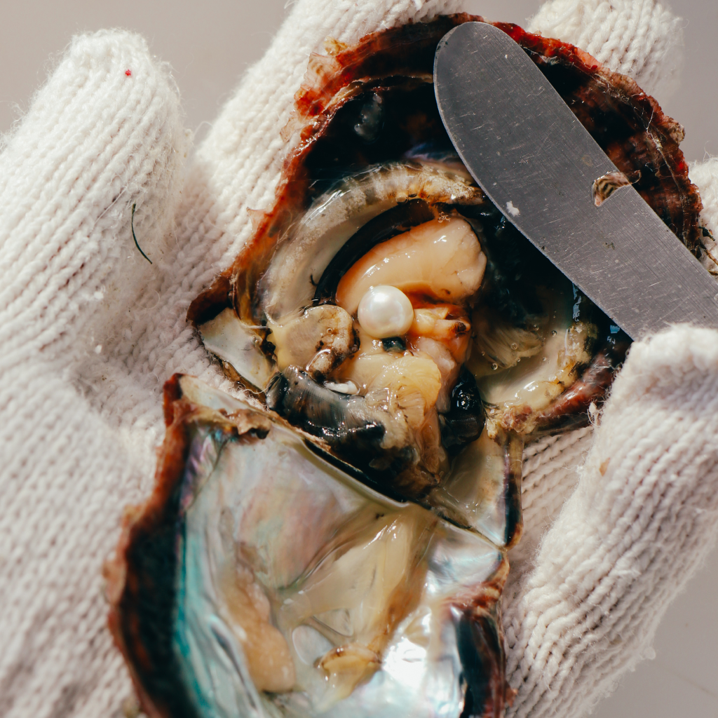 【三重県志摩市】アソビュー!ふるさと納税クーポン