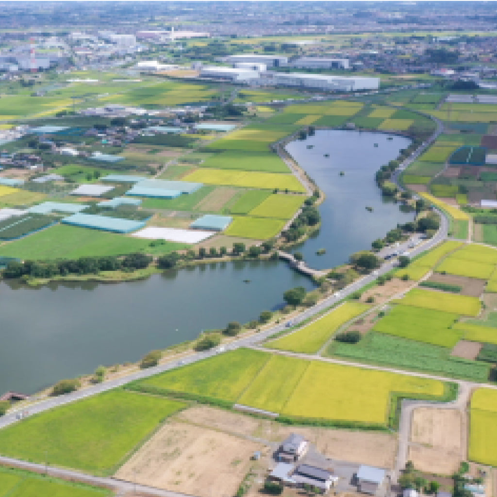【埼玉県白岡市】アソビュー!ふるさと納税クーポン