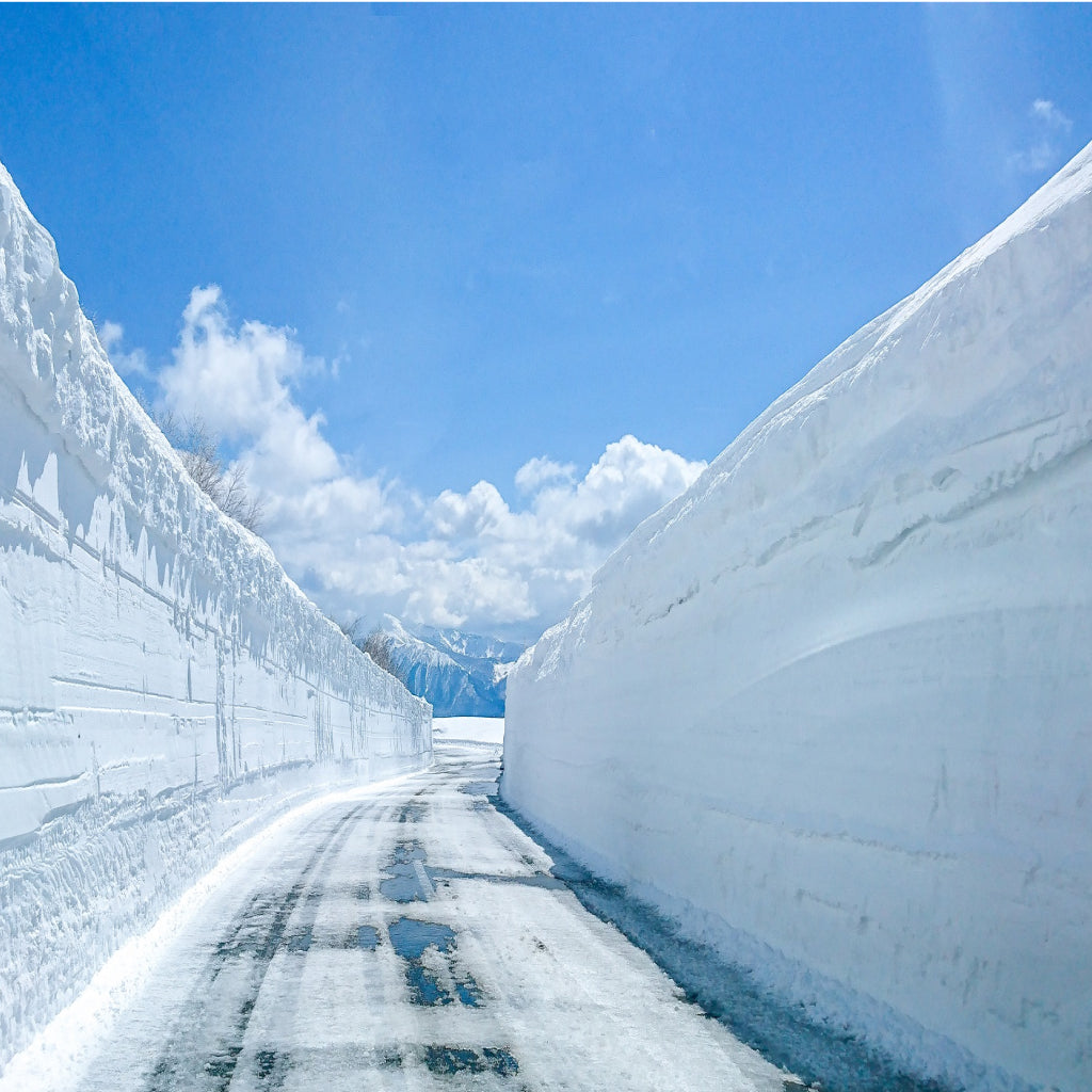 【岩手県八幡平市】アソビュー!ふるさと納税クーポン