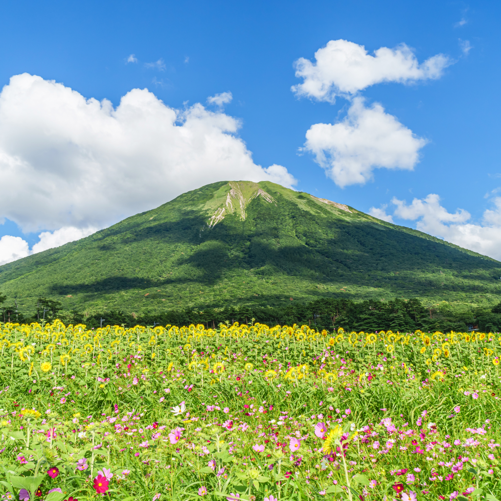 【鳥取県大山町】アソビュー!ふるさと納税クーポン