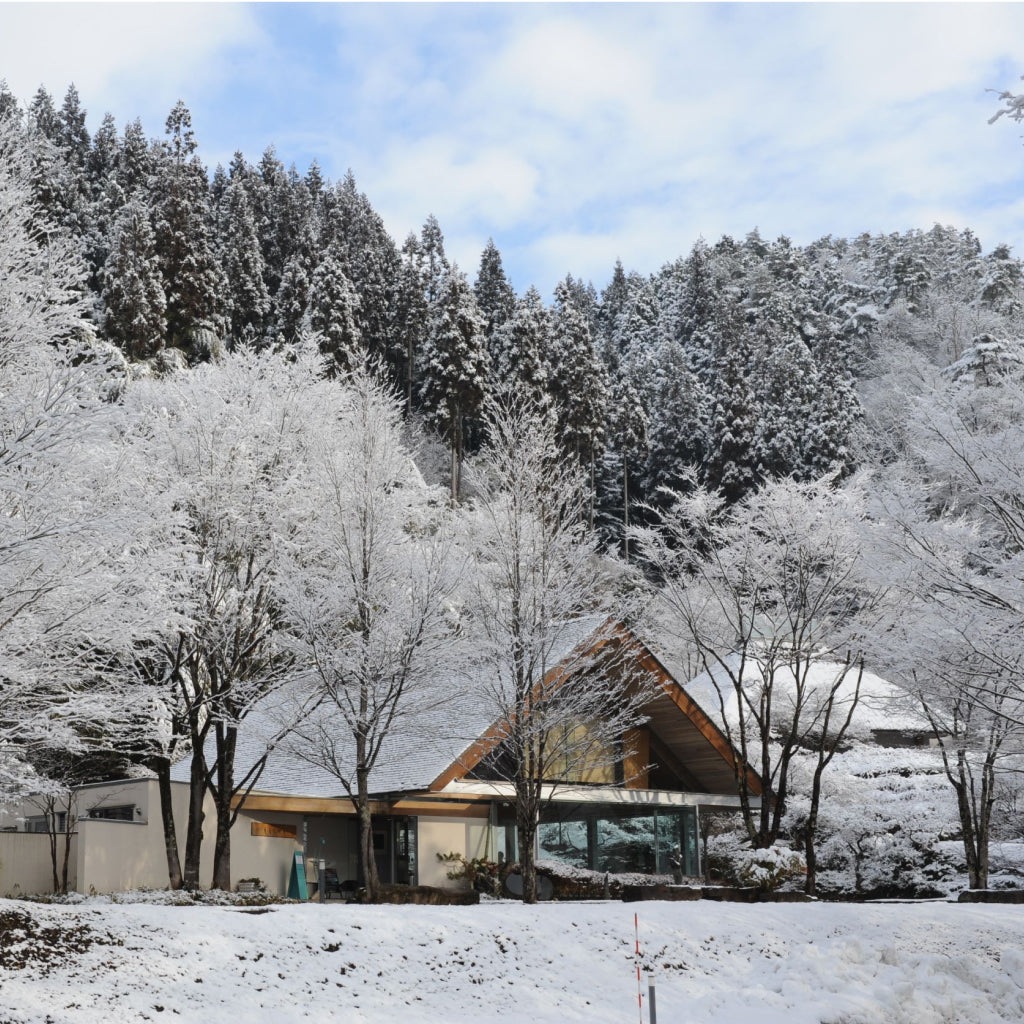 【岐阜県郡上市】アソビュー!ふるさと納税クーポン