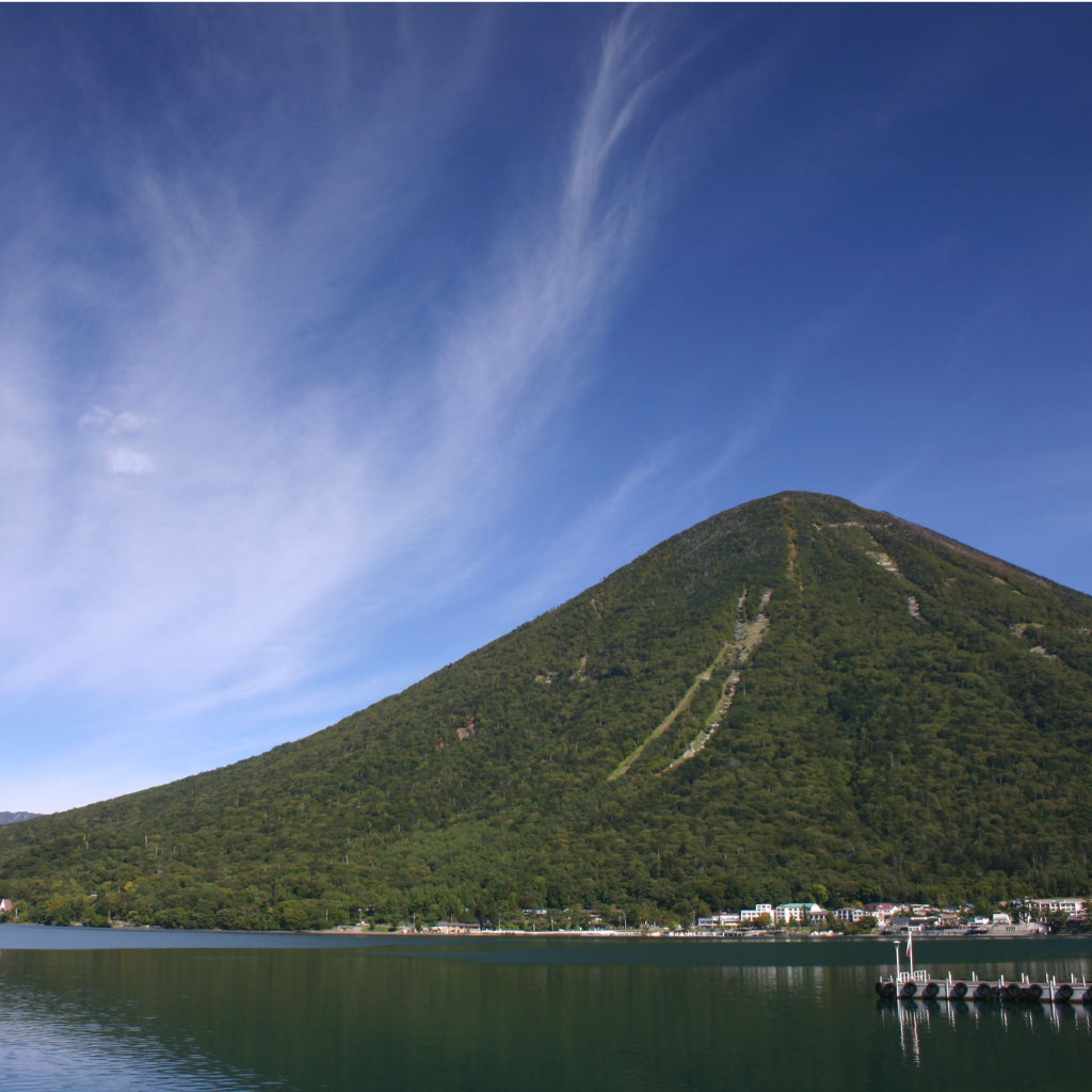【栃木県日光市】アソビュー!ふるさと納税クーポン