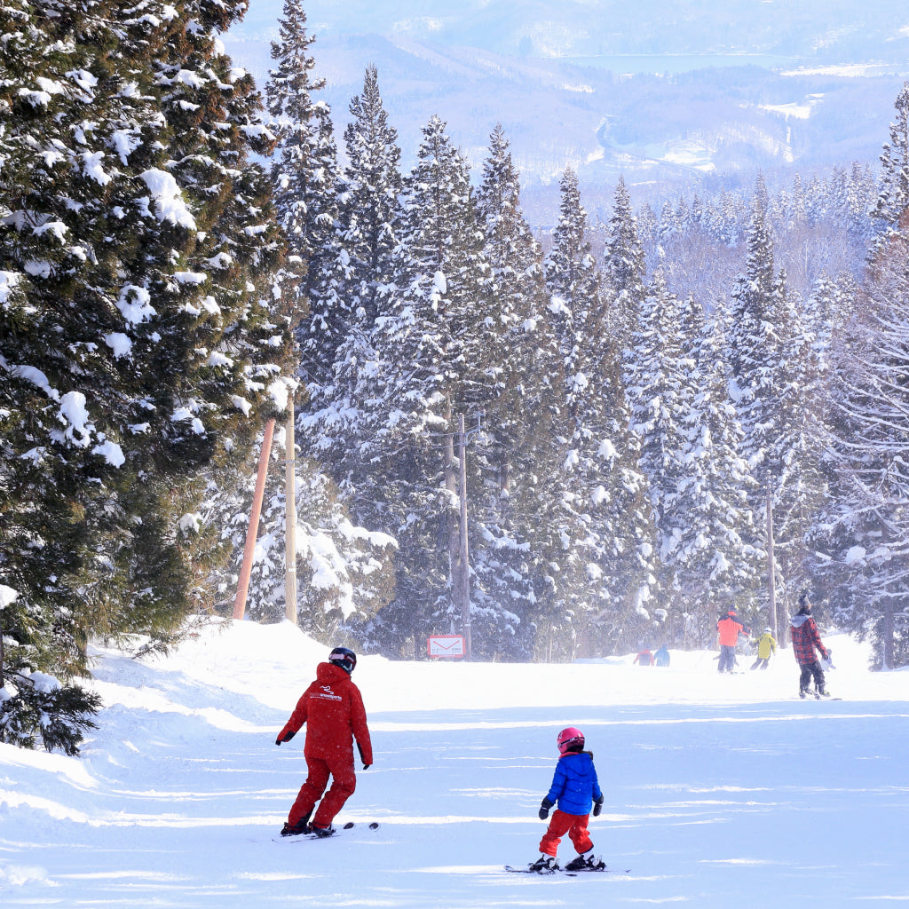 赤倉温泉スキー場 リフト1日券