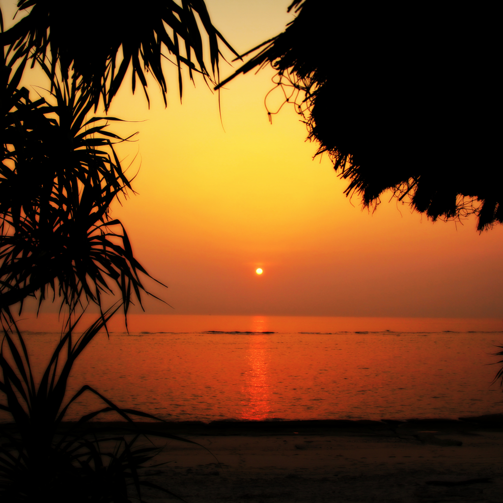 【鹿児島県奄美市】アソビュー!ふるさと納税クーポン