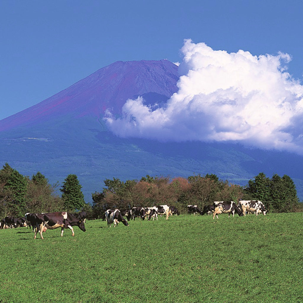 【山梨県富士河口湖町】アソビュー!ふるさと納税クーポン