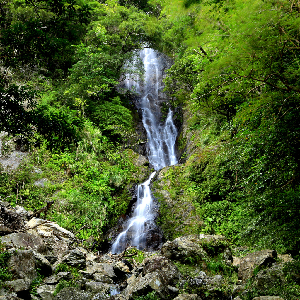 【鹿児島県奄美市】アソビュー!ふるさと納税クーポン