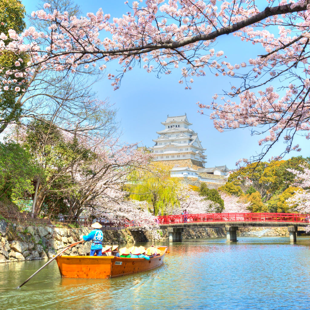 【兵庫県】アソビュー!ふるさと納税クーポン