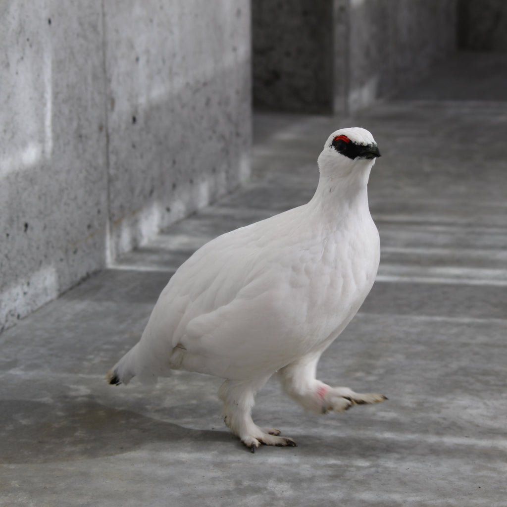 【長野県大町市】アソビュー!ふるさと納税クーポン