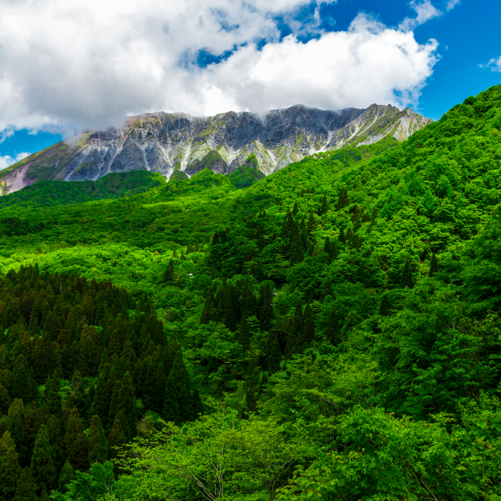 【鳥取県大山町】アソビュー!ふるさと納税クーポン