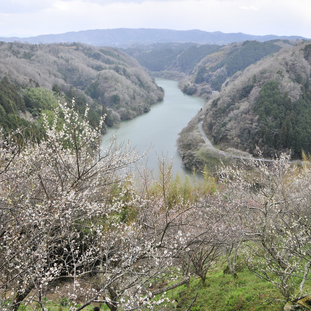 【奈良県奈良市】アソビュー!ふるさと納税クーポン