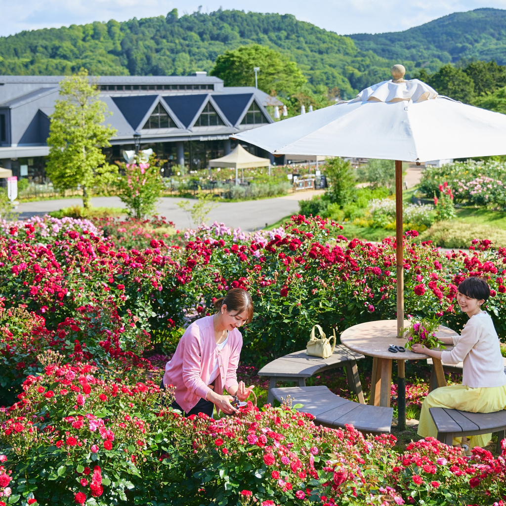 【茨城県】アソビュー!ふるさと納税クーポン