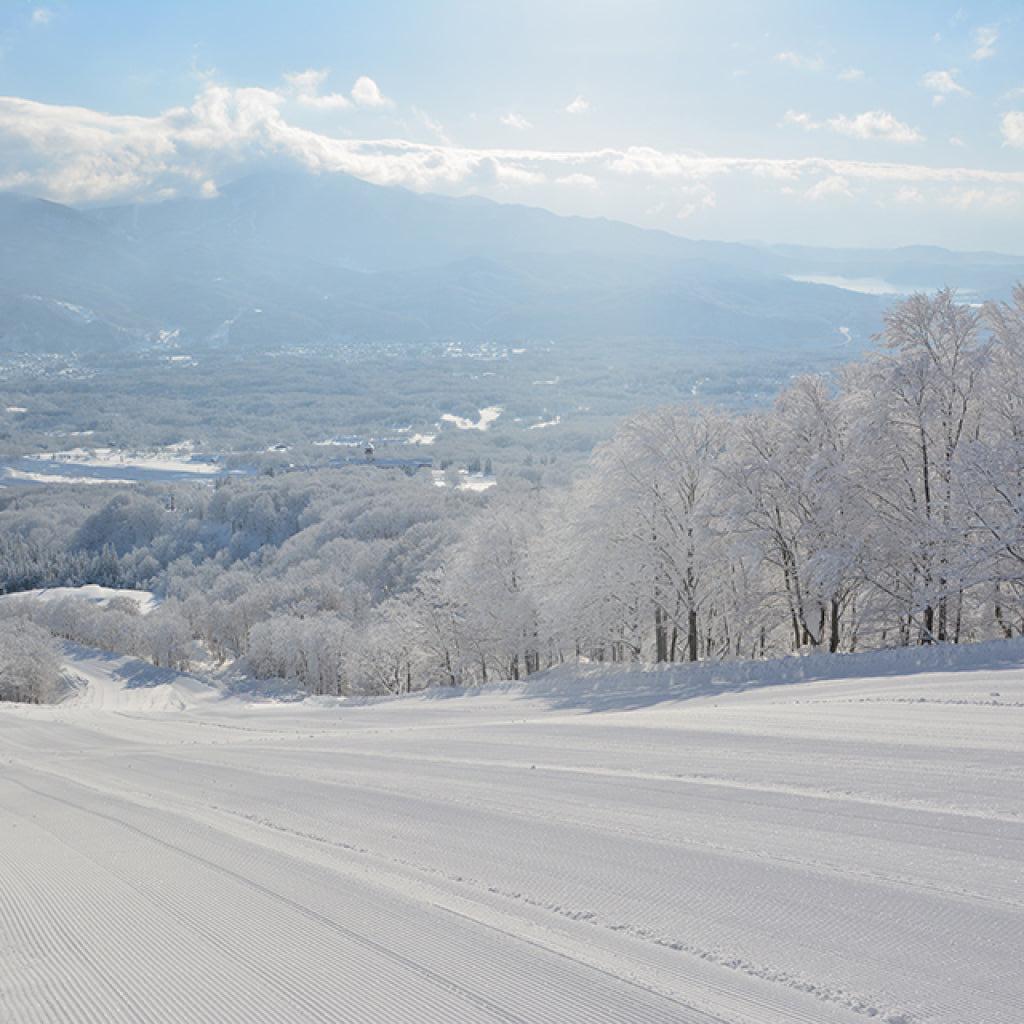 赤倉観光リゾートスキー場 リフト・ゴンドラ1日券