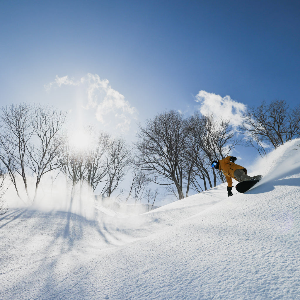 アライマウンテンリゾート エコノミークラスシーズンパス