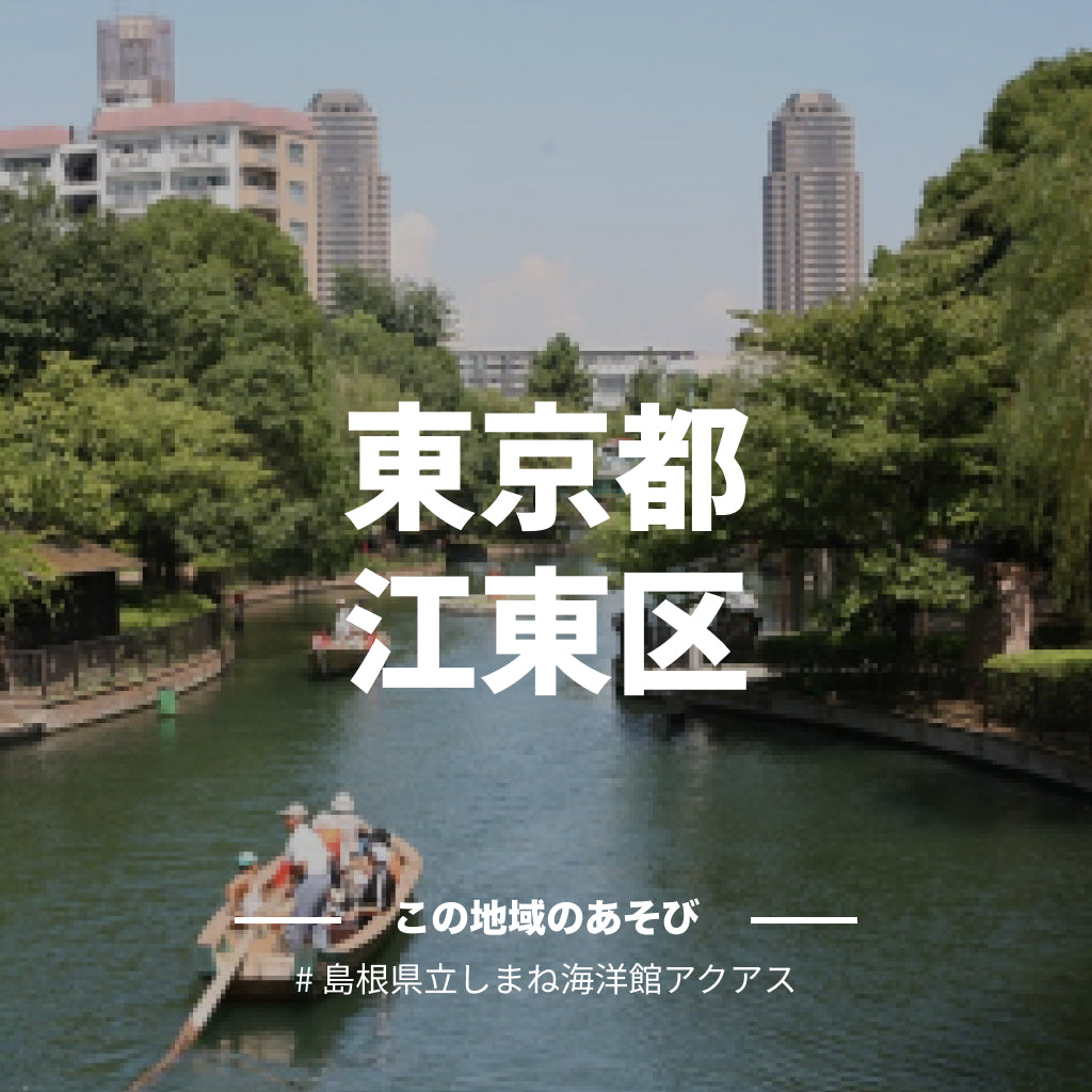 【東京都江東区】アソビュー!ふるさと納税クーポン