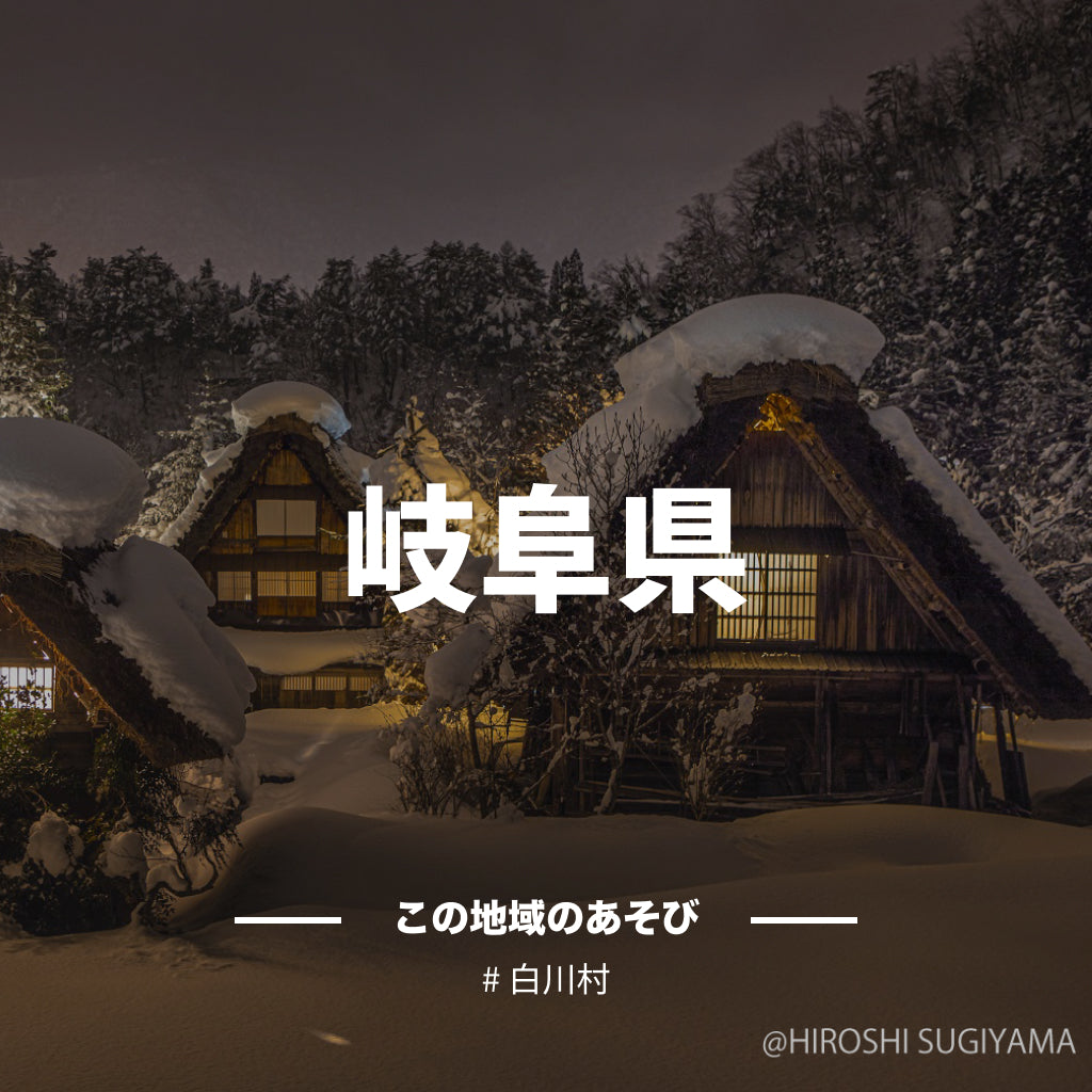 【岐阜県】アソビュー!ふるさと納税クーポン