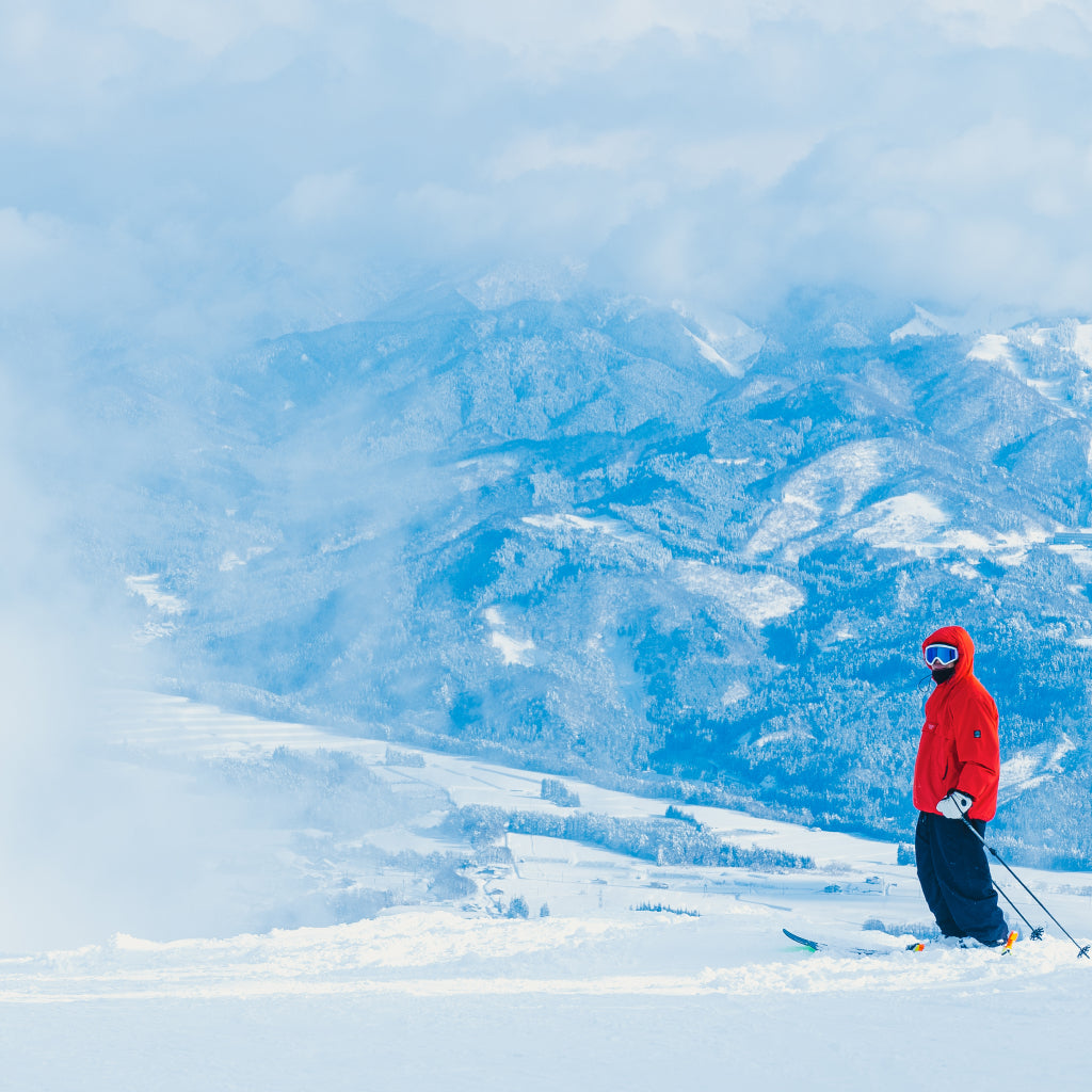 ダイナランド 全日シーズン券