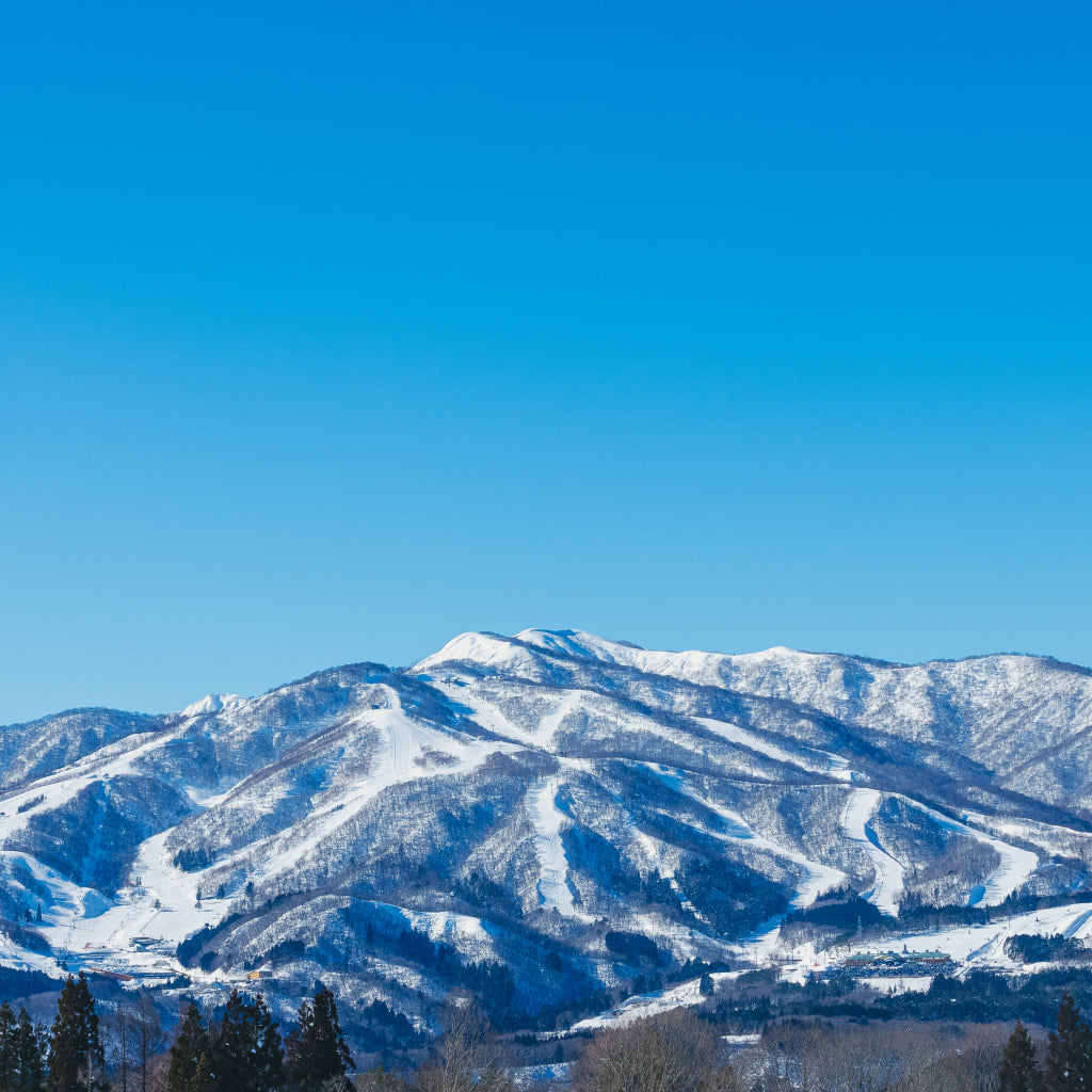 ダイナランド 全日シーズン券