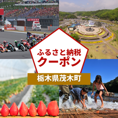 【栃木県茂木町】アソビュー!ふるさと納税クーポン