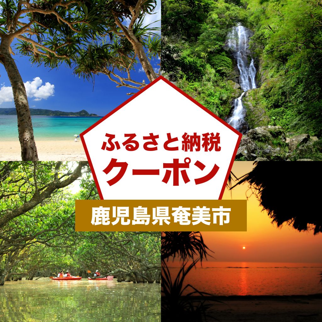 【鹿児島県奄美市】アソビュー!ふるさと納税クーポン