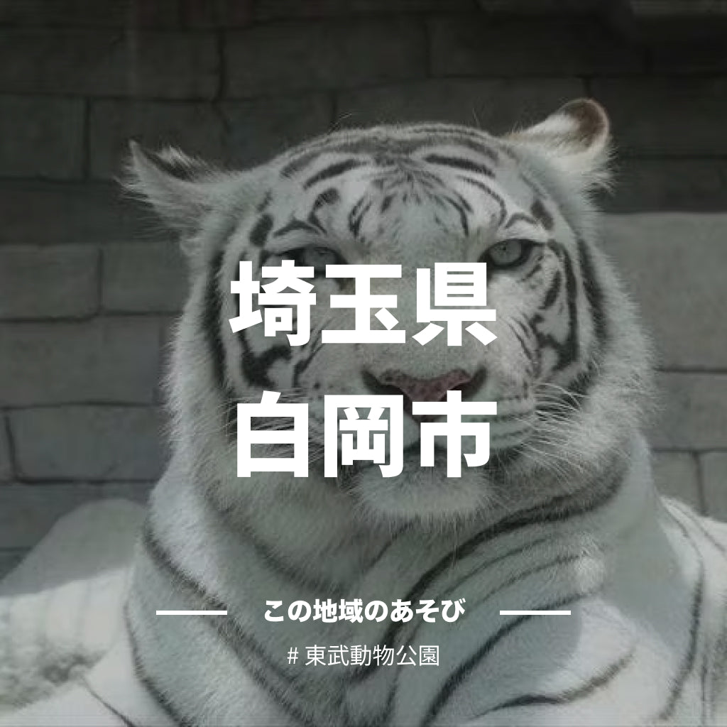 【埼玉県白岡市】アソビュー!ふるさと納税クーポン