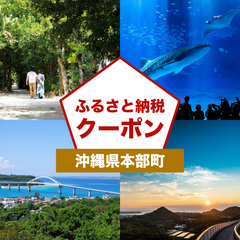【沖縄県本部町】アソビュー!ふるさと納税クーポン