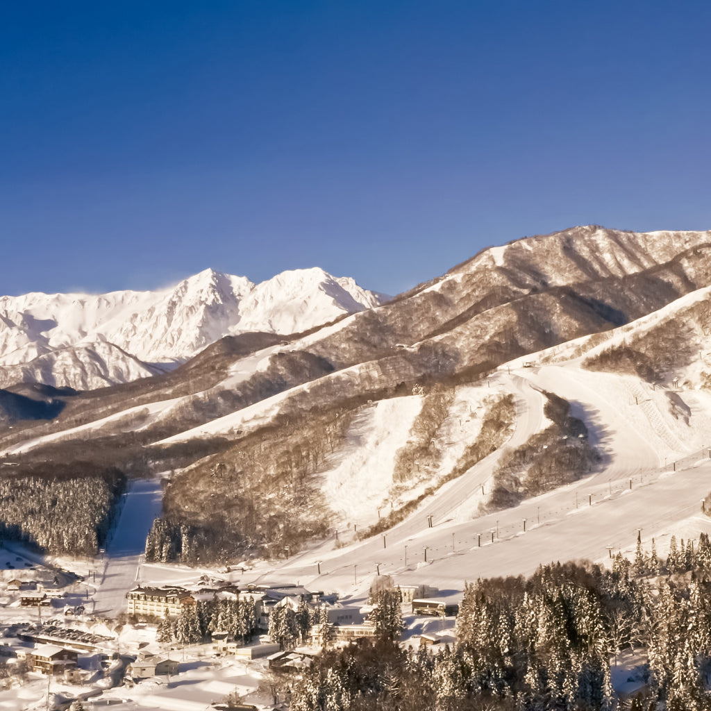 白馬乗鞍温泉スキー場/白馬コルチナスキー場 共通1日券