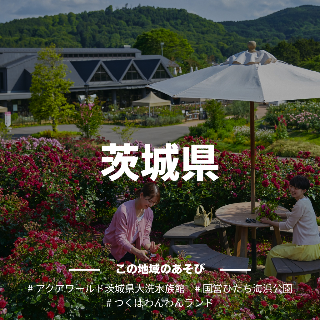 【茨城県】アソビュー!ふるさと納税クーポン