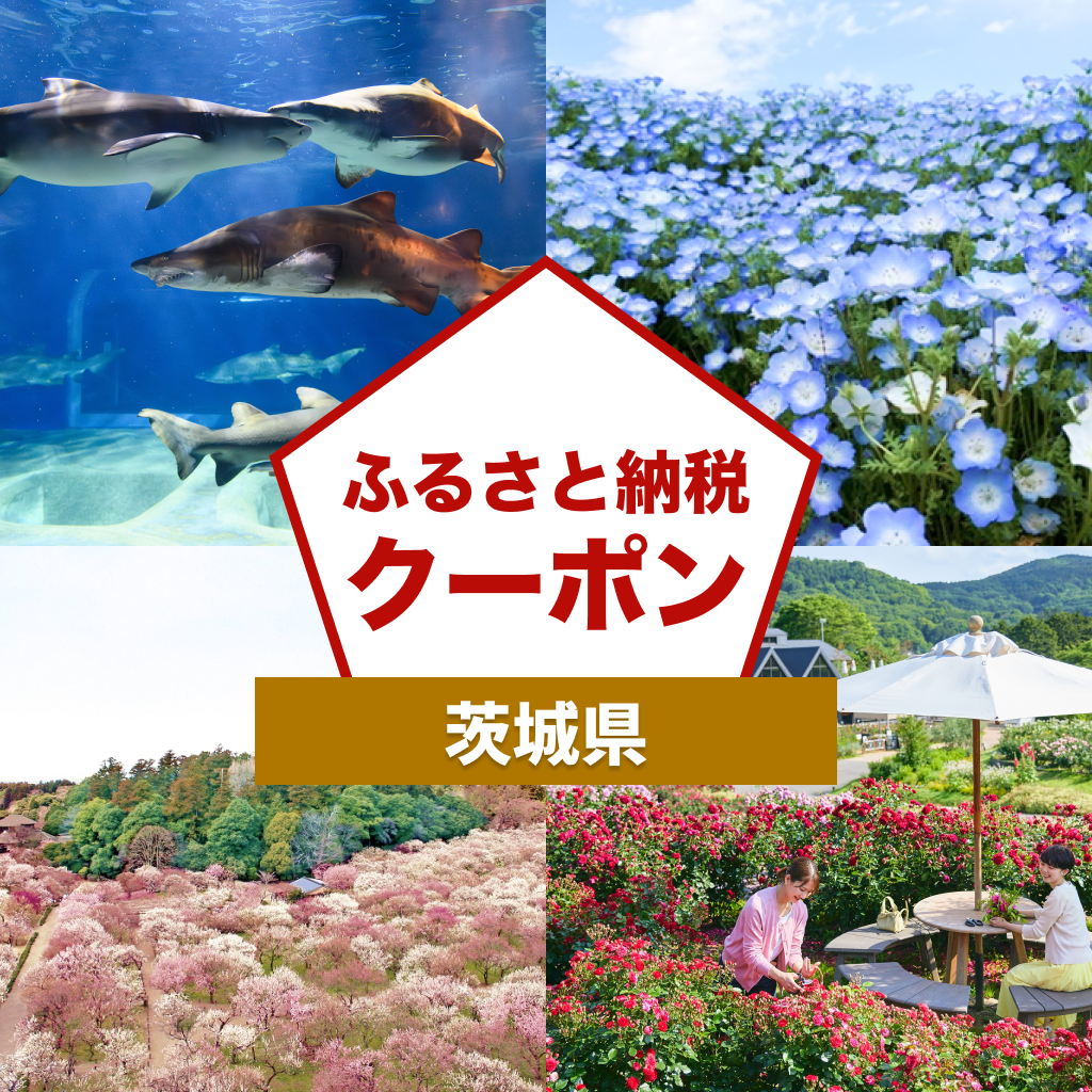 【茨城県】アソビュー!ふるさと納税クーポン