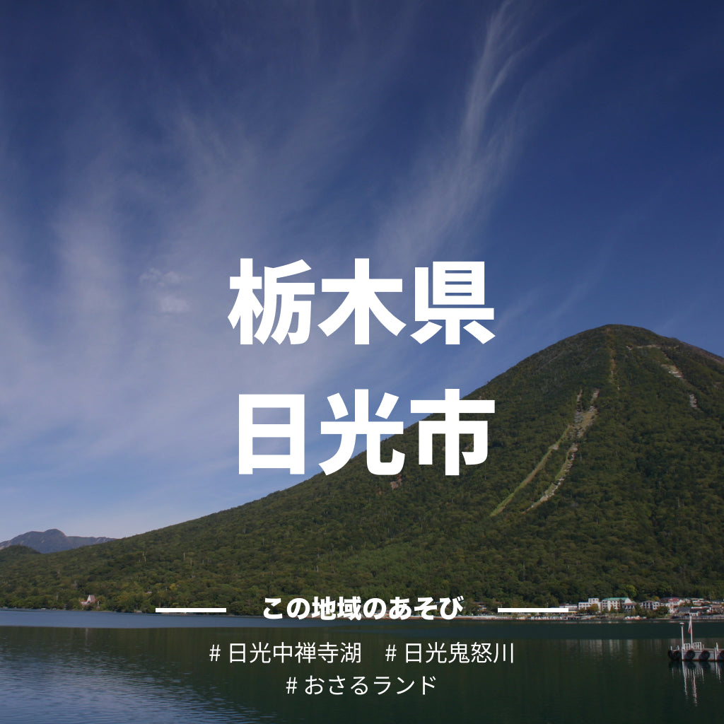 【栃木県日光市】アソビュー!ふるさと納税クーポン