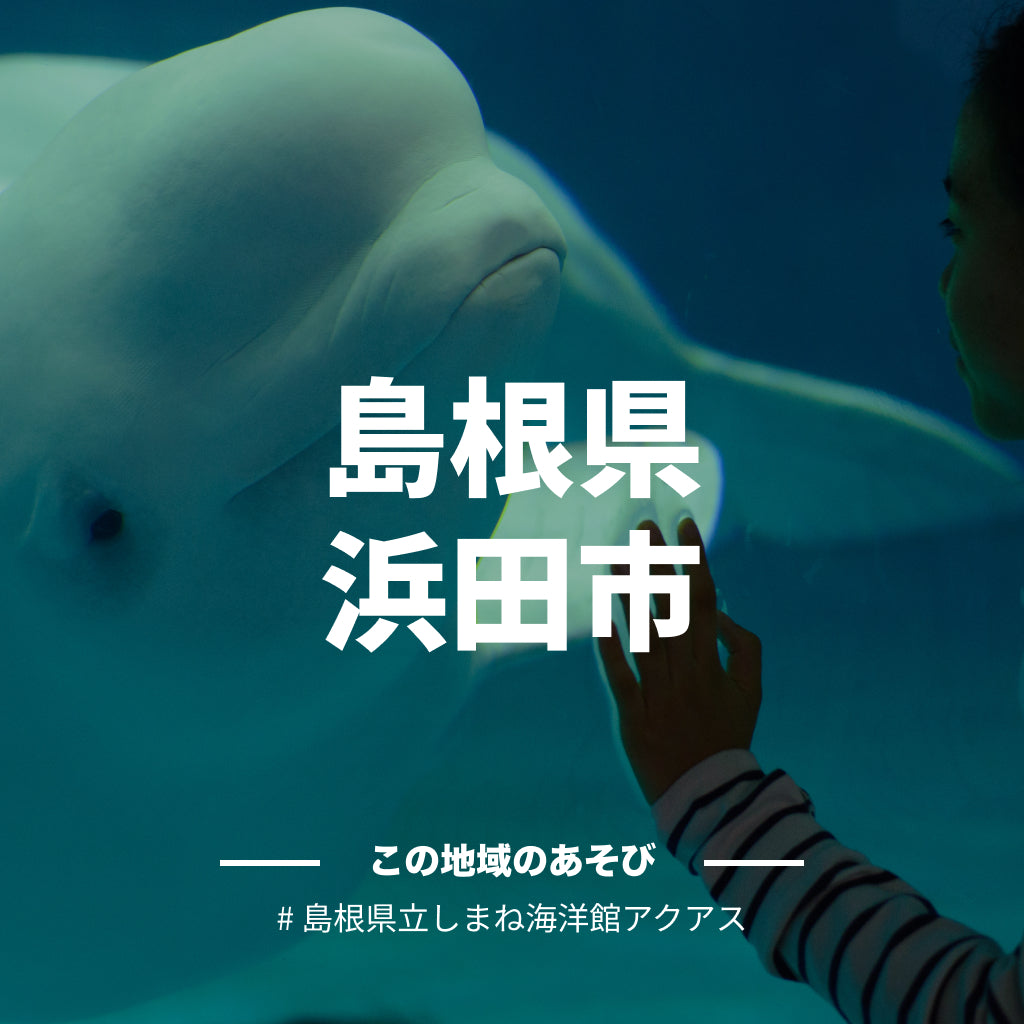 【島根県浜田市】アソビュー!ふるさと納税クーポン