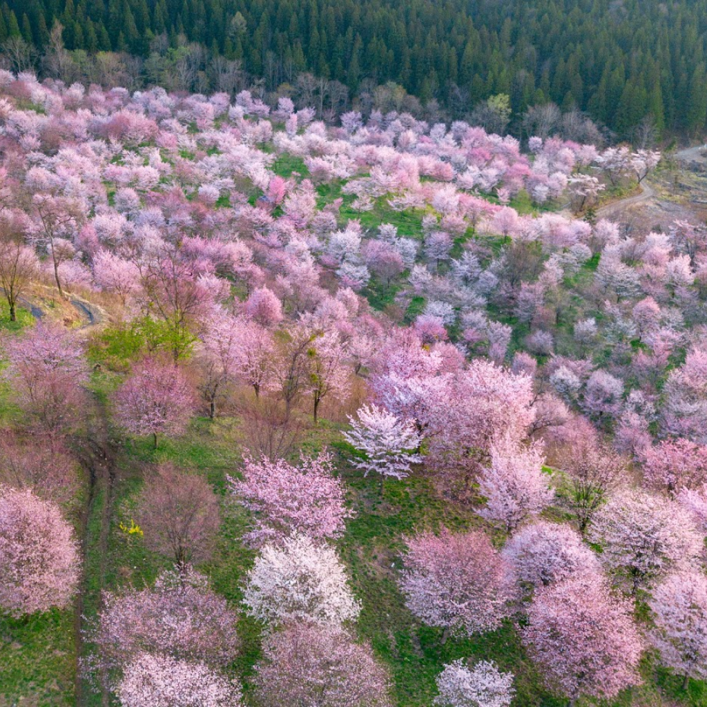 【福島県北塩原村】アソビュー!ふるさと納税クーポン