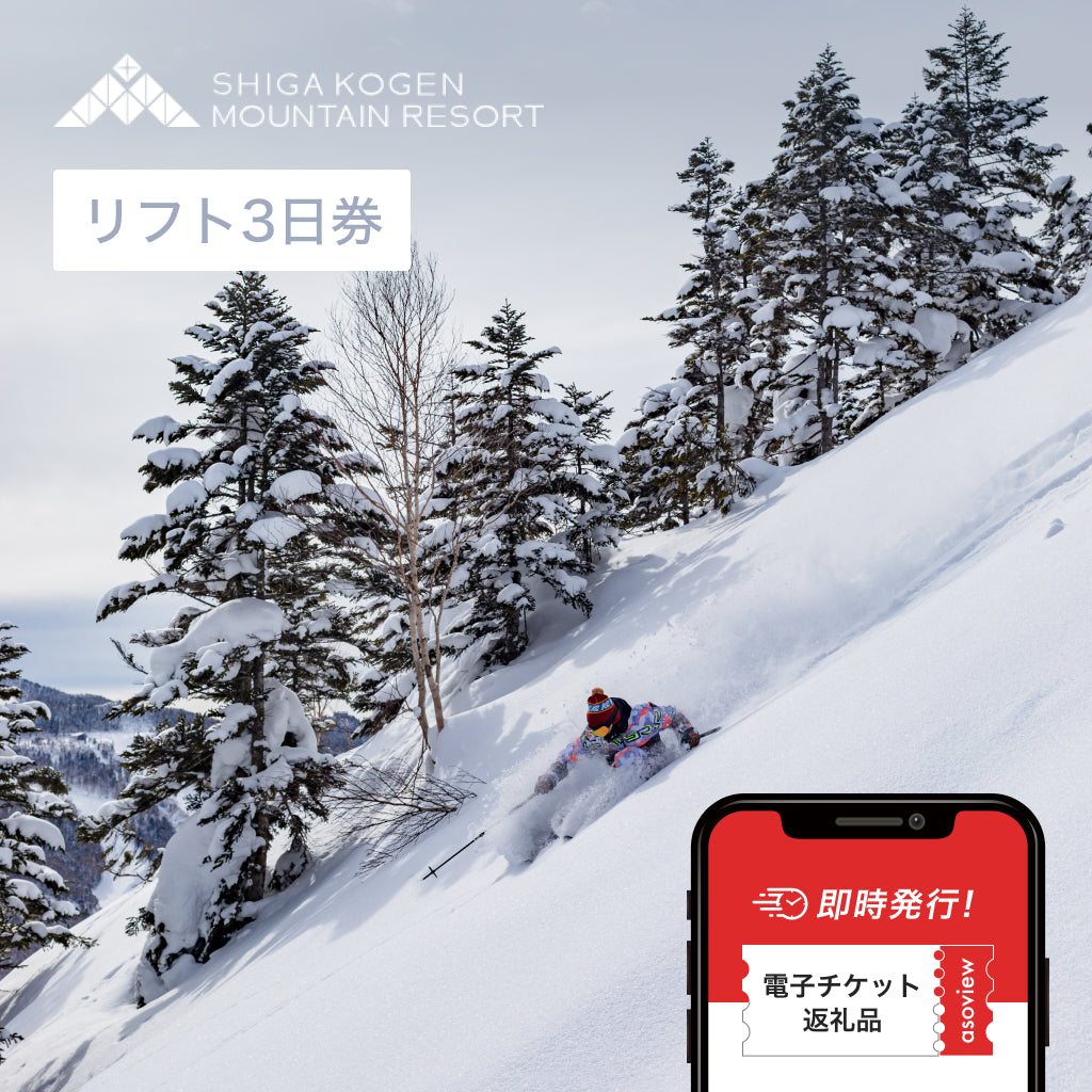 【全日利用可】志賀高原マウンテンリゾート 18スキー場共通 リフト3日券