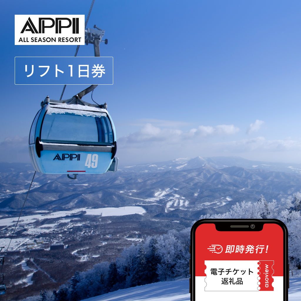 【八幡平市ふるさと納税】安比高原スキー場 BLUE PASS 1日券