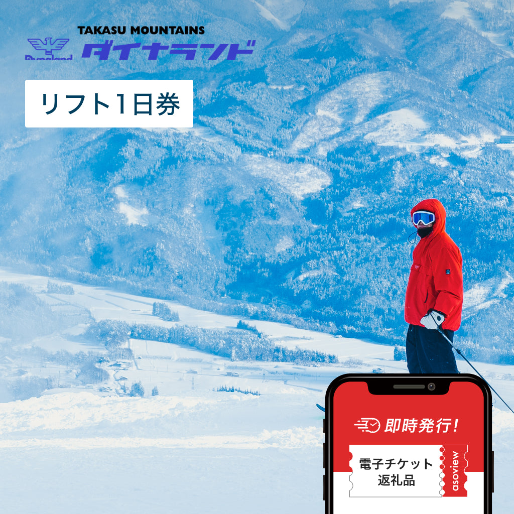 ダイナランド&高鷲スノーパーク 共通リフト1日券