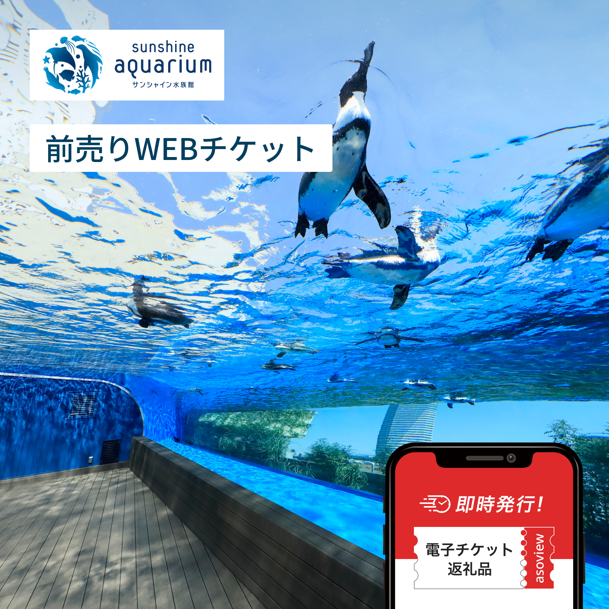 サンシャイン水族館 WEBチケット｜便利なオンラインチケットを手軽に