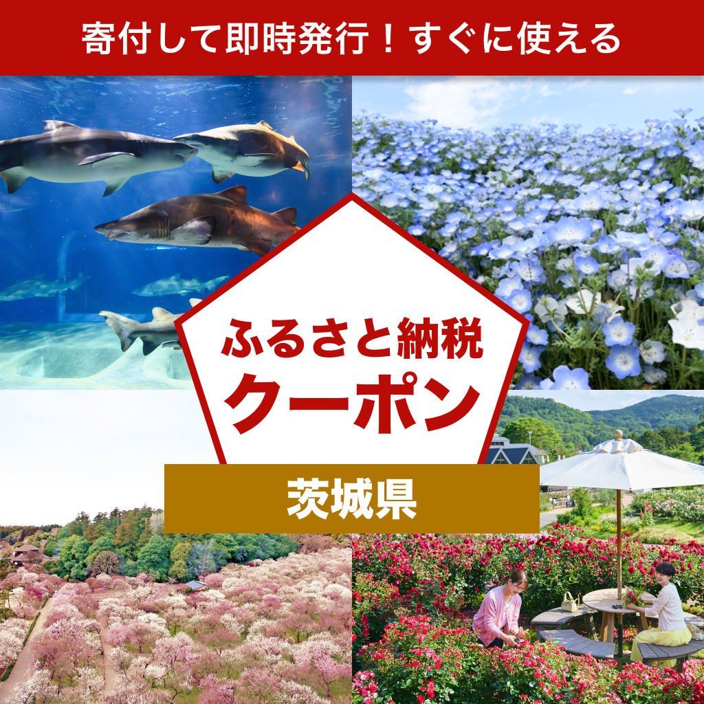 【茨城県】アソビュー!ふるさと納税クーポン