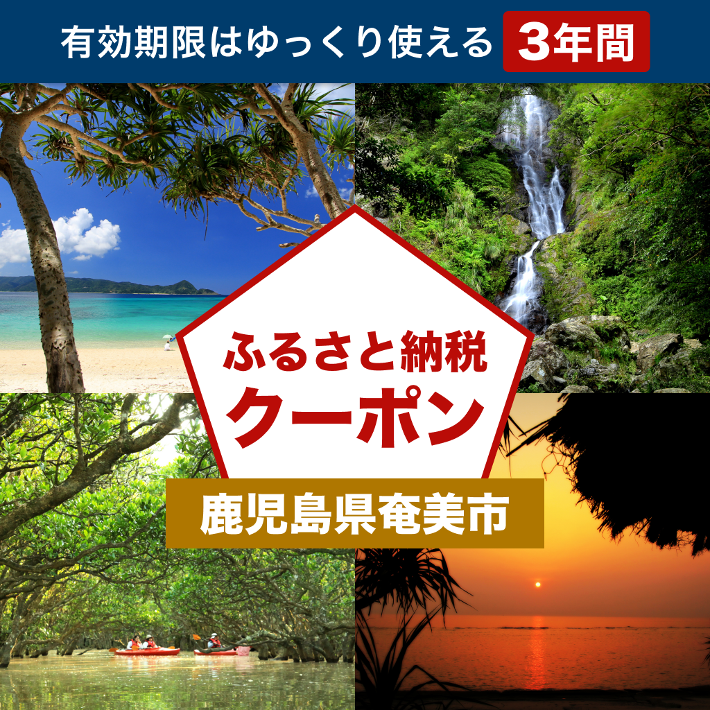 【鹿児島県奄美市】アソビュー!ふるさと納税クーポン