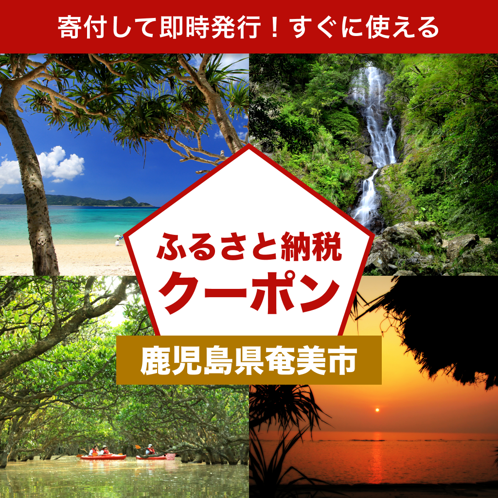 【鹿児島県奄美市】アソビュー!ふるさと納税クーポン