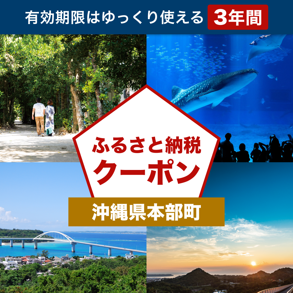 【沖縄県本部町】アソビュー!ふるさと納税クーポン