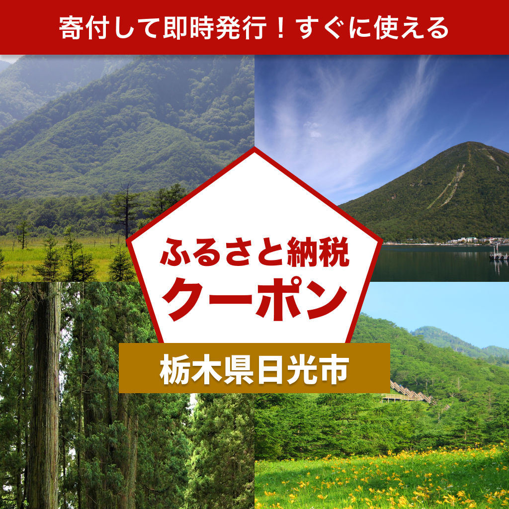 【栃木県日光市】アソビュー!ふるさと納税クーポン