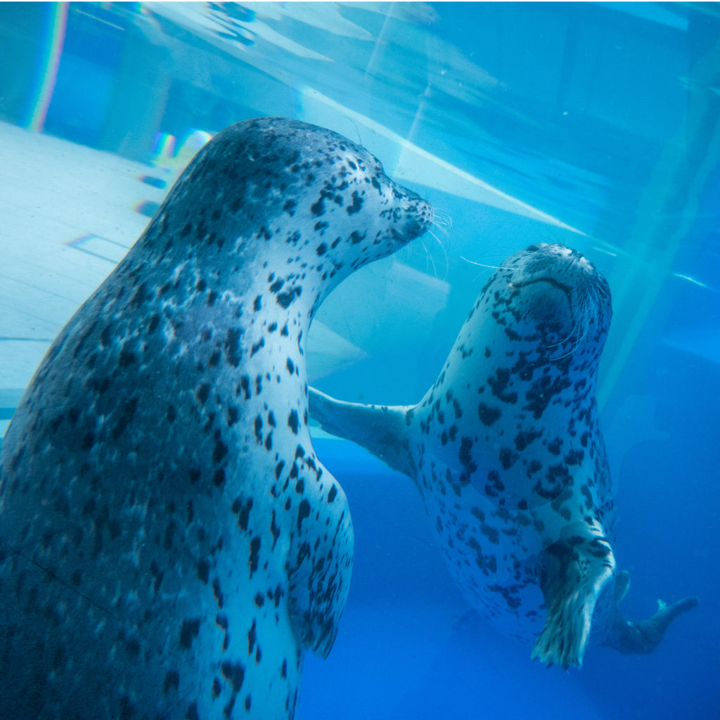 【島根県浜田市】アソビュー！ふるさと納税クーポン
