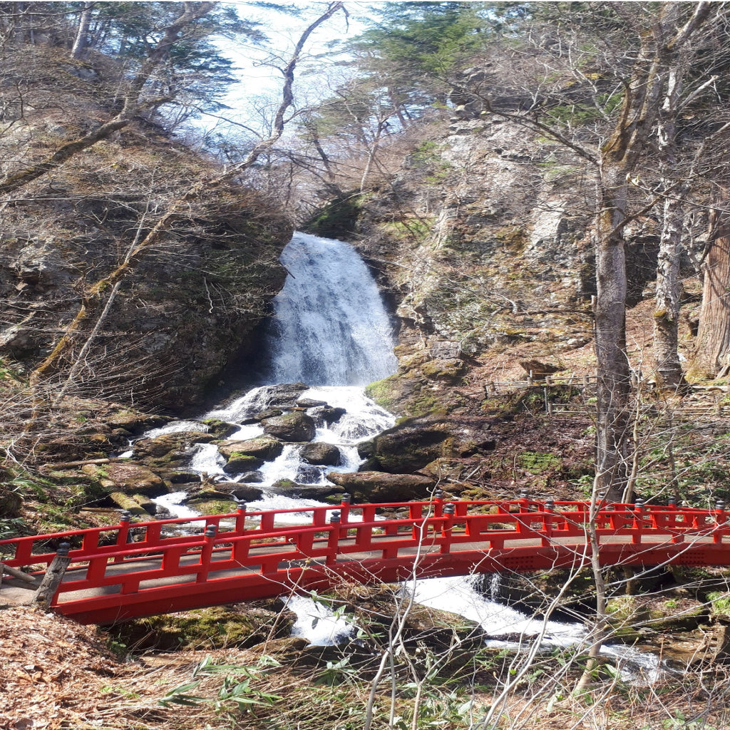 【岩手県八幡平市】アソビュー！ふるさと納税クーポン