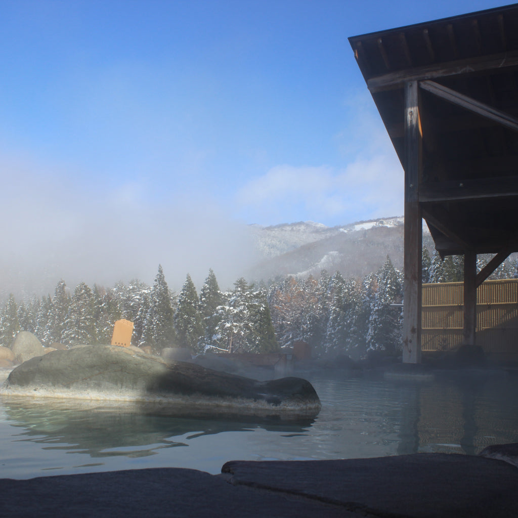 ウイングヒルズ白鳥リゾート 大人リフト1日券